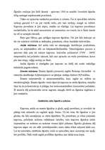 Referāts 'Sintētiskie zīdi', 3.