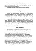 Referāts 'Sintētiskie zīdi', 5.