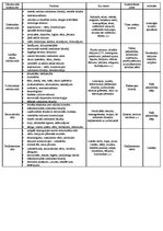 Paraugs 'Valodas stili', 1.