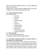 Referāts 'Redaktora darbs jauniešu žurnālā', 4.