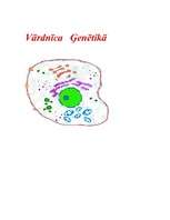 Konspekts 'Ģenētikas termini', 1.