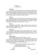 Referāts 'Psiholoģijas vēsture', 9.