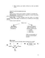 Referāts 'Psiholoģijas vēsture', 29.