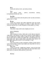 Referāts 'Psiholoģijas vēsture', 31.