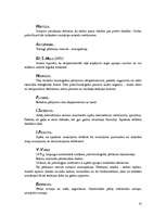 Referāts 'Psiholoģijas vēsture', 33.