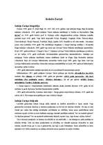 Referāts 'Latviešu izcilākie mākslinieki', 18.