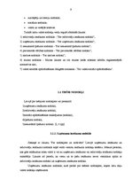 Referāts 'Nodokļu veidi tirdzniecībā', 9.