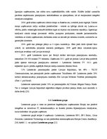 Prakses atskaite 'Prakses atskaite SIA "Lattelecom"', 5.