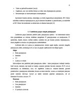 Prakses atskaite 'Prakses atskaite SIA "Lattelecom"', 10.