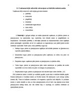 Prakses atskaite 'Prakses atskaite SIA "Lattelecom"', 19.