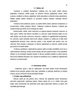 Prakses atskaite 'Prakses atskaite SIA "Lattelecom"', 29.