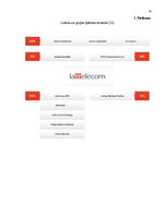 Prakses atskaite 'Prakses atskaite SIA "Lattelecom"', 42.