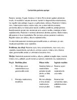 Konspekts 'Geriatrisko pacientu aprūpes plāns māsām', 1.