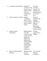 Konspekts 'Geriatrisko pacientu aprūpes plāns māsām', 2.