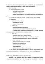 Referāts 'Uzņēmuma "X" bilances analīze', 7.