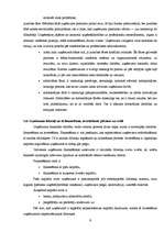 Referāts 'Uzņēmuma "X" bilances analīze', 9.