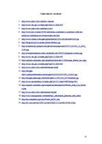 Referāts 'Cīņa ar HIV un AIDS 20. un 21.gadsimtā', 23.