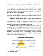 Referāts 'Valsts ieņēmumu dienesta prakses pārskats', 4.