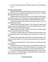 Referāts 'Valsts ieņēmumu dienesta prakses pārskats', 17.