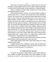 Referāts 'Valsts ieņēmumu dienesta prakses pārskats', 30.