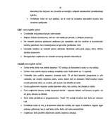 Referāts 'Valsts ieņēmumu dienesta prakses pārskats', 36.