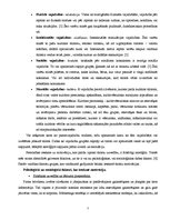 Referāts 'Ceļojuma maršruta izstrāde uz Riodežaneiro: tirgus izpēte, izmaksu aprēķins', 7.