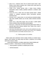 Referāts 'Ceļojuma maršruta izstrāde uz Riodežaneiro: tirgus izpēte, izmaksu aprēķins', 14.