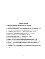 Referāts 'Ceļojuma maršruta izstrāde uz Riodežaneiro: tirgus izpēte, izmaksu aprēķins', 39.