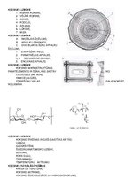 Konspekts 'Būvniecības kontroldarba teorija', 6.