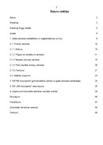 Diplomdarbs 'Finanšu analīze', 2.