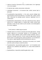 Diplomdarbs 'Finanšu analīze', 8.