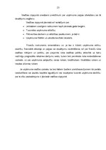 Diplomdarbs 'Finanšu analīze', 23.