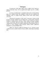 Referāts 'Sociālās lomas un normas. Normatīva un nenormatīva uzvedība', 12.