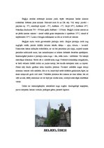 Referāts 'Beļģija', 6.