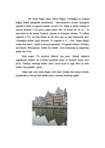 Referāts 'Beļģija', 7.