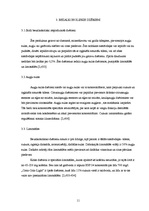 Referāts 'Pārtikas piedevas un to ietekme uz cilvēka veselību', 11.