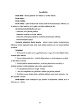 Referāts 'Pārtikas piedevas un to ietekme uz cilvēka veselību', 29.