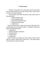 Referāts 'Tiesību funkcijas', 5.