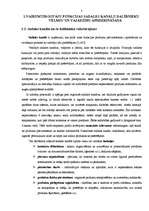 Referāts 'Vairumtirgotāju funkcijas sadales kanālu dalībnieku vēlmju un vajadzību apmierin', 2.