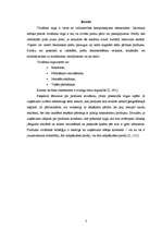 Referāts 'Jaunu produktu ieviešana tirgū', 3.