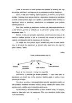 Referāts 'Jaunu produktu ieviešana tirgū', 5.