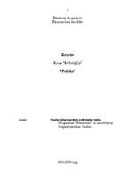 Referāts 'Politika', 1.