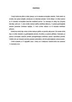 Referāts 'Почерк и характер человека', 35.