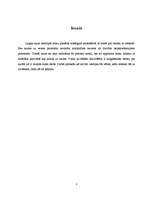 Referāts 'Saule un magnētiskās vētras', 3.