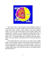 Referāts 'Saule un magnētiskās vētras', 5.