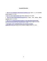 Referāts 'Saule un magnētiskās vētras', 12.