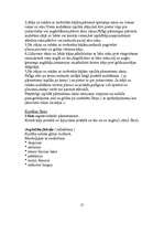 Referāts 'Riteņveida pārmetiens', 2.