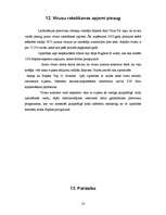 Referāts 'Datorvīrusi', 18.