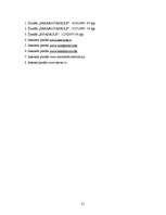 Referāts 'Datorvīrusi', 21.