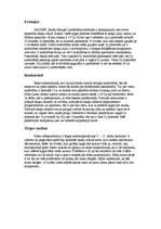 Konspekts 'SIA SMF "Radio Mezgls"', 1.